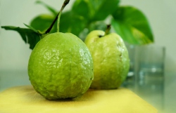 Buah Jambu